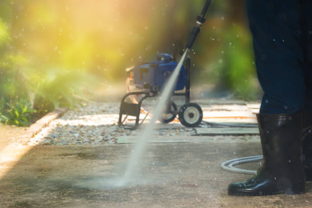Best Dumpster Area Cleaning  in Web, AL